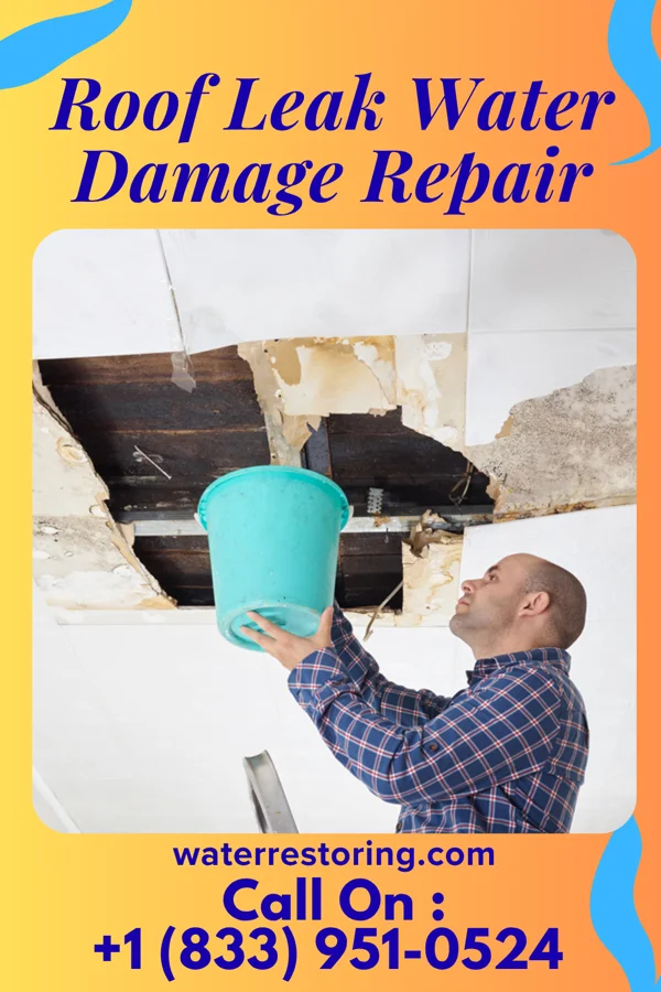Roof Leak Water Damage Repair in Rodessa, LA