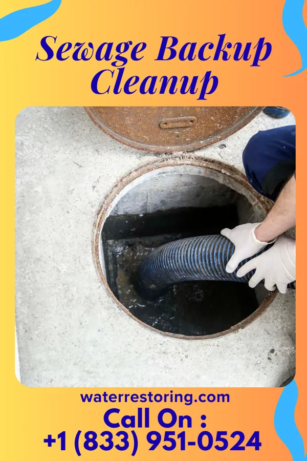 Sewage Backup Cleanup in Rodessa, LA